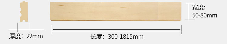 石羽毛球館體育運(yùn)動木地板